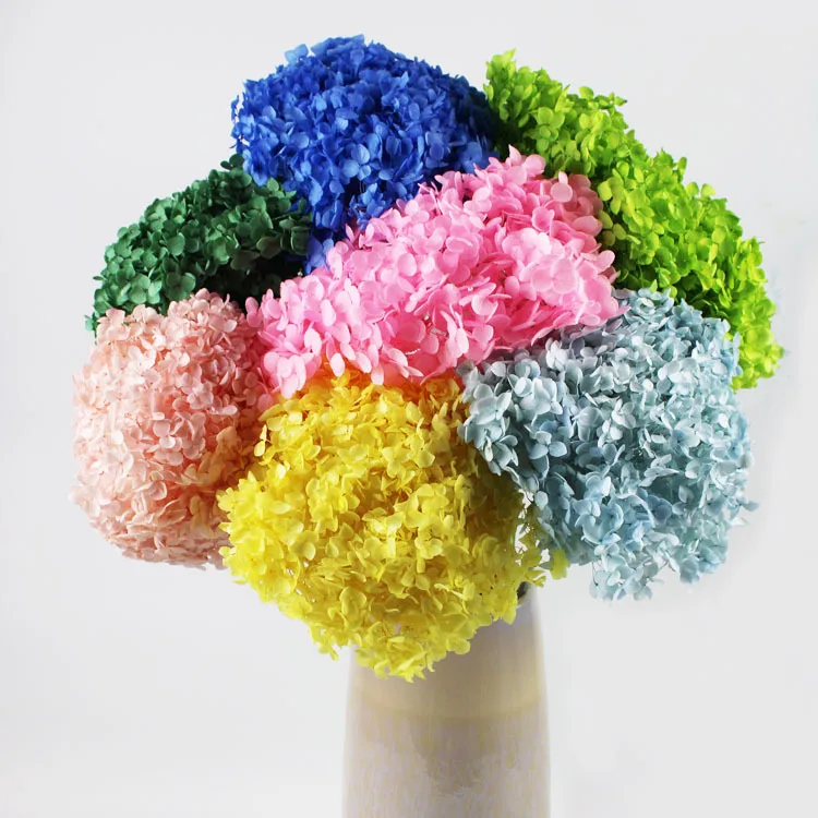 DIY Material Preserved Fresh Anna hydrangea Flower Long Lasting hydrangea