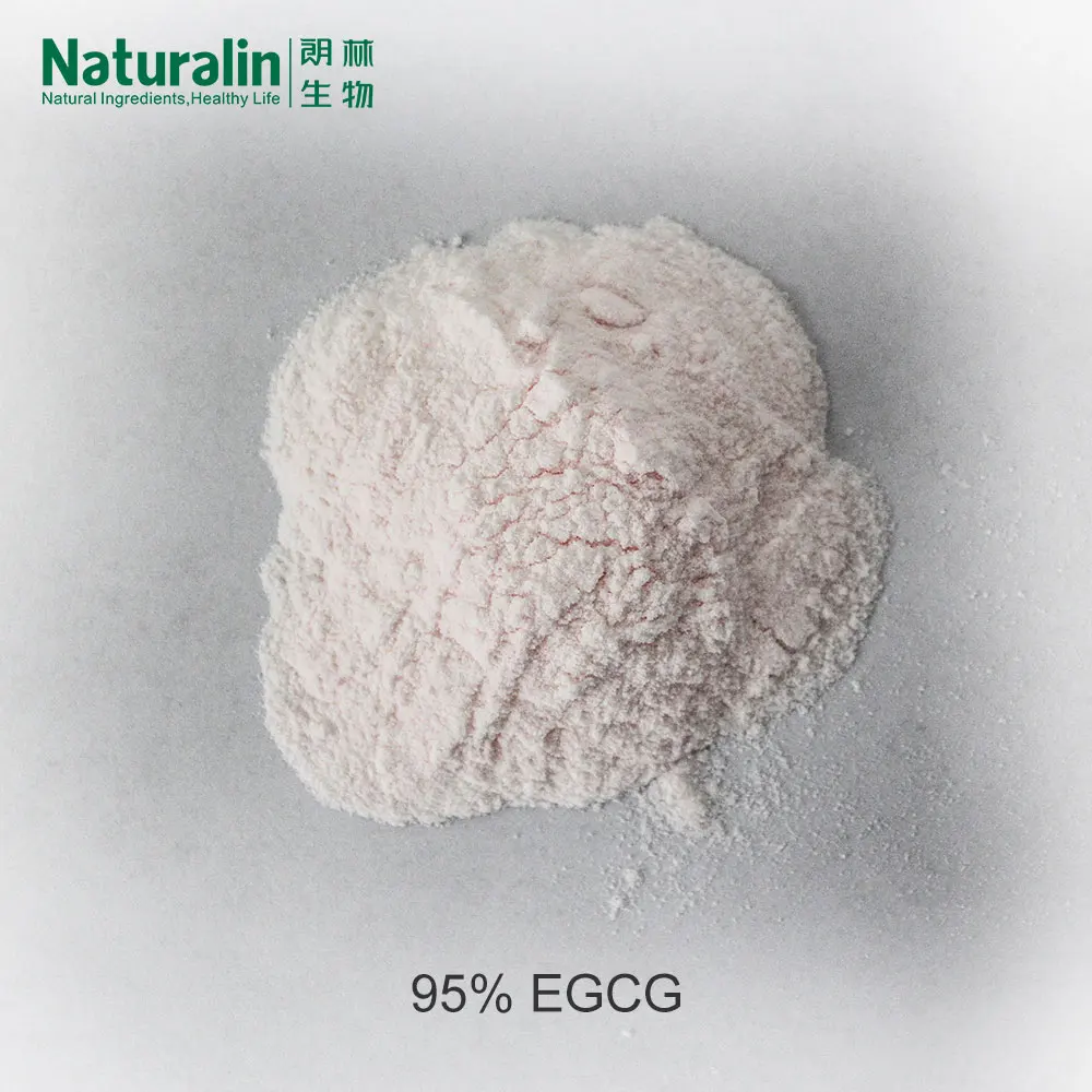 Экстракт натурального камелии sinensis по конкурентоспособной цене (л.) Kuntze 98% polyphenols-70 %-50% EGCG UV HPLC обнаруженный экстракт зеленого чая