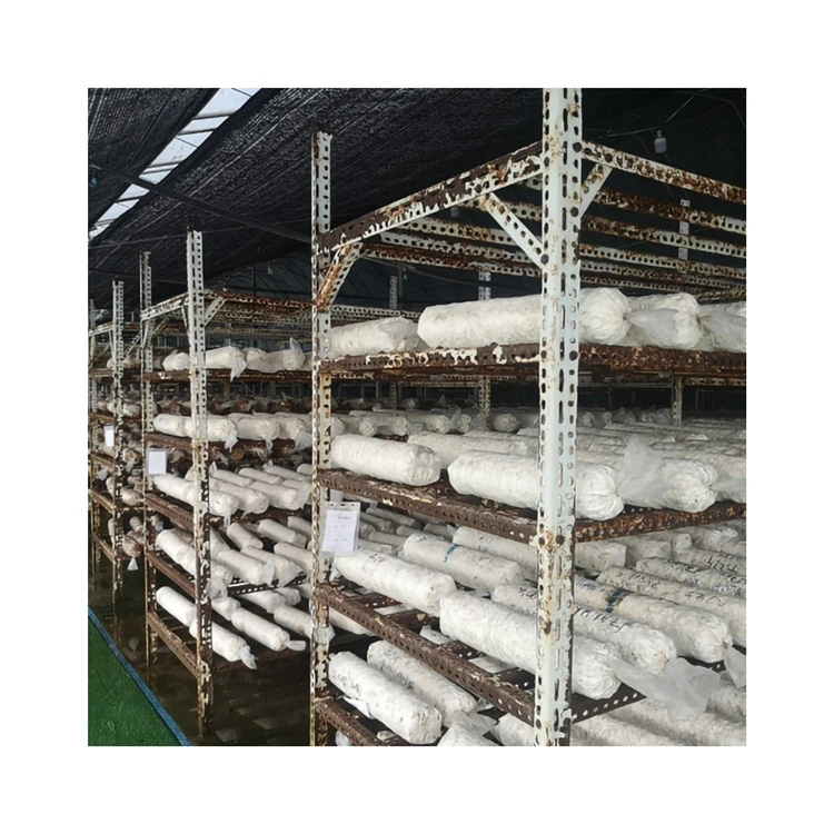 Natural Pollution-free Rootless Fleshy Stick Delicious Shiitake Mushroom Sticks For Household Food