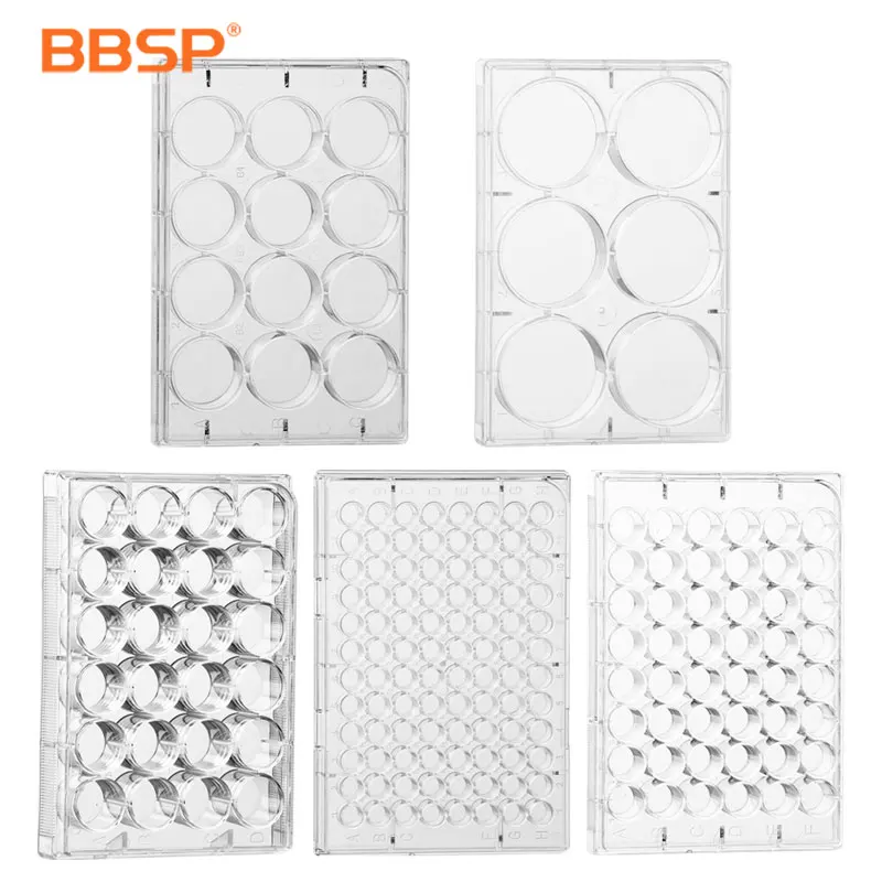 BBSP Cytology consumable High transparency 100% PP cell culture plate other lab supplies for Cytology laboratory