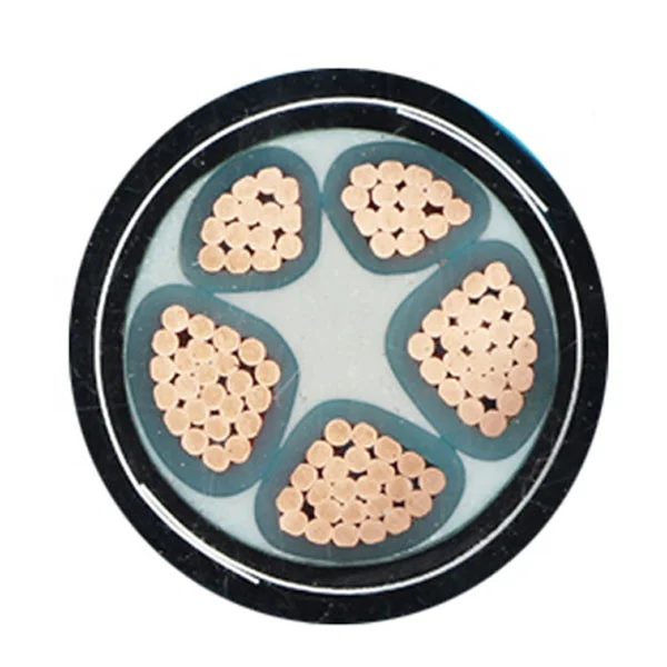 0.6\/1kv Low Voltage Class 2 Stranded Copper Conductor Double Steel Tape Armored Xlpe Power Cable Prices N2XBY YJV22