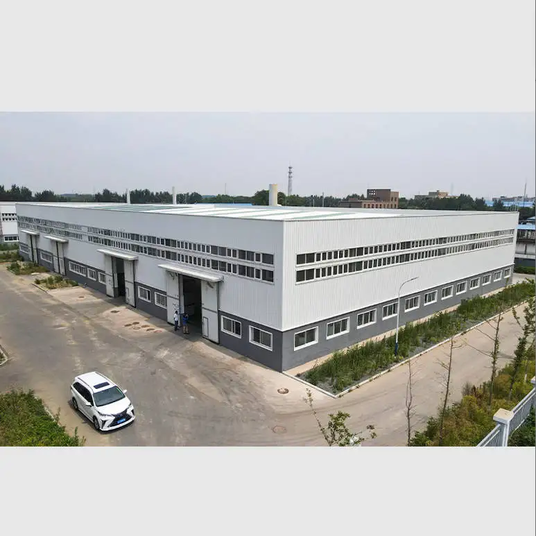 Professional industrial steel structure cheap warehouse