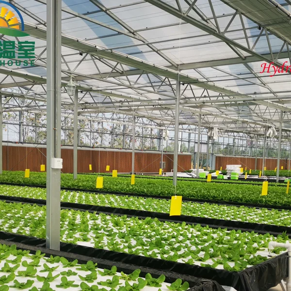 SUNSGH Made in China Greenhouse Agricultural Agriculture Product Production Green House