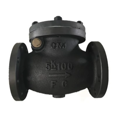 Hot Sale JIS Cast Iron Swing Type Check Valve Use Marine FC 5K 100A