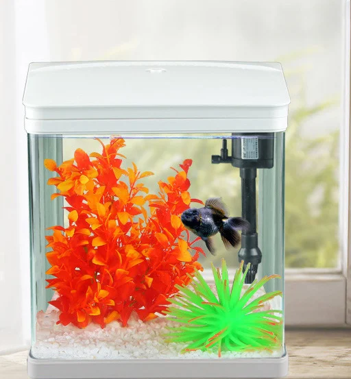 Mini Fish Tank Small Glass Desktop Aquarium Kit for Starter with Tank and LED Light and Filter and Pump