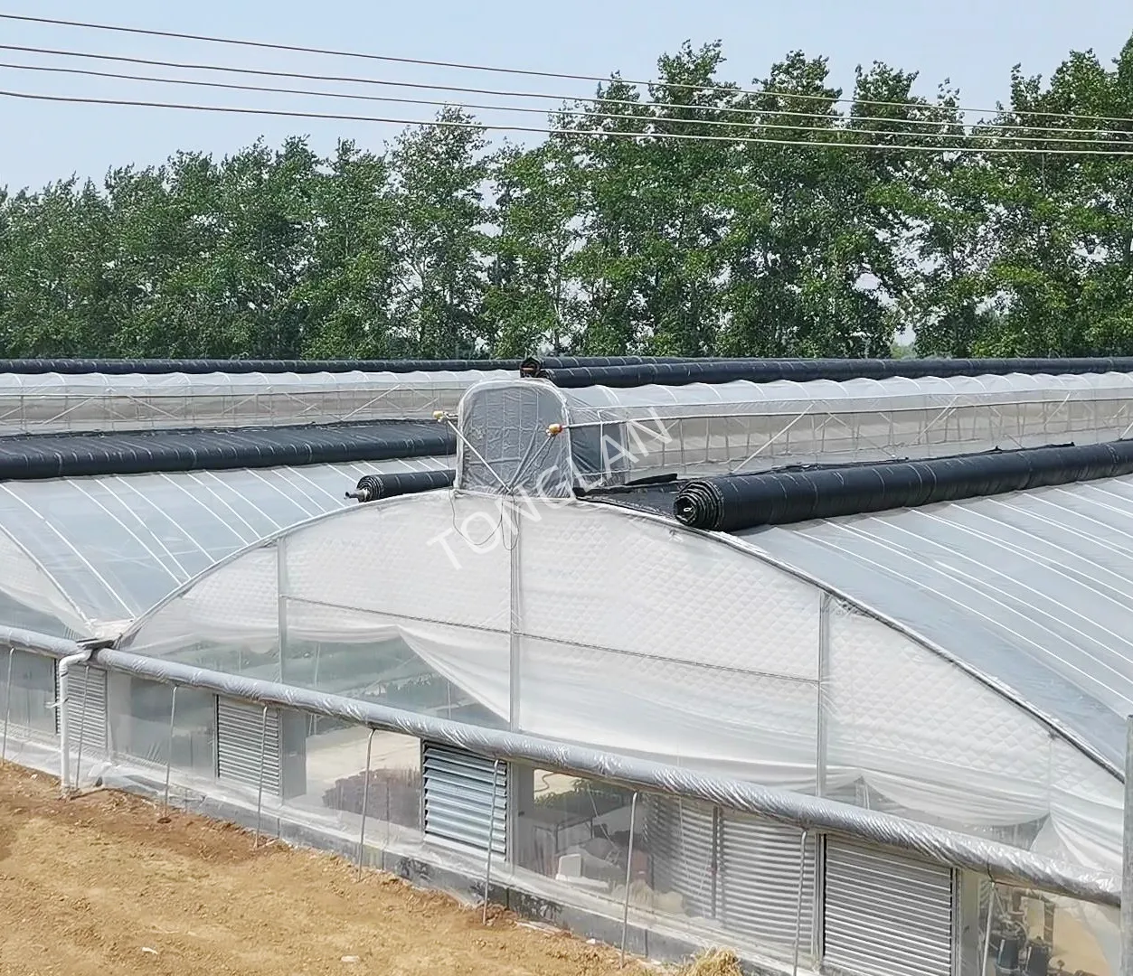 Chinese Manufacturer Irrigation and Hydroponic Equipment Agricultural Oval Tube New Multi-span Greenhouse Used Sale
