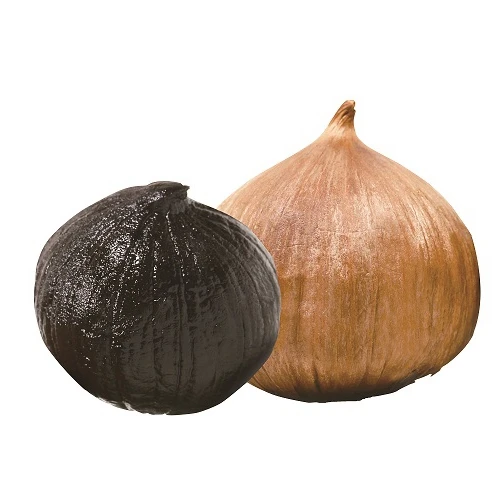 2024 Chinese Solo Black Garlic Manufacturer with Low Prices