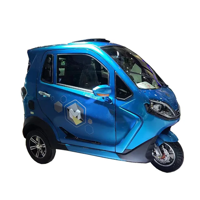 Rickshaw Family Vehicle Mid-east Fully Enclosed Closed Electric 3 Wheels Electric Trike CE LED Display 60V Cargo 1200W Motor