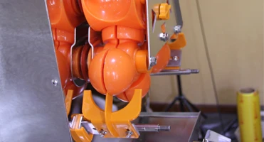 2024 Newsaier Commercial Stainless Steel Automatic Orange Juice Processing Machine