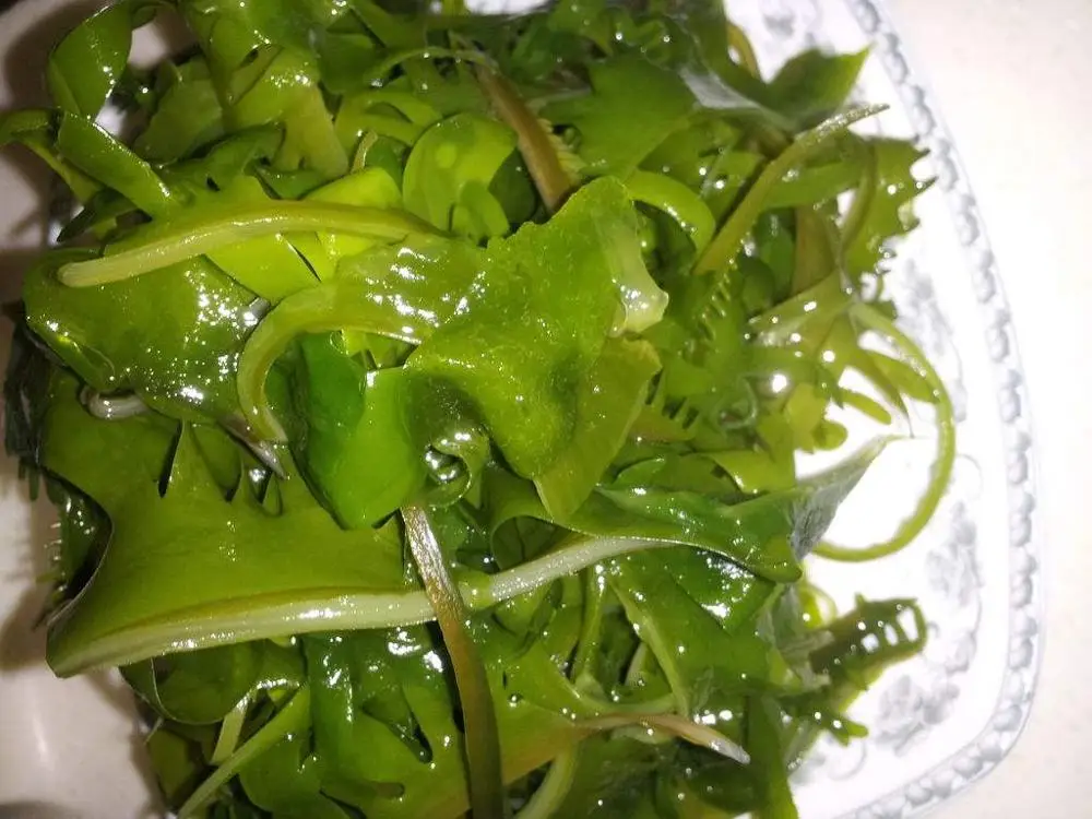 Gaishi OEM/ODM Japanese Sushi Organic Suche Undaria Pinnatifida Suche Dried Stalk Chuka Seaweed Strips Stem Cut Dry Dried Wakame