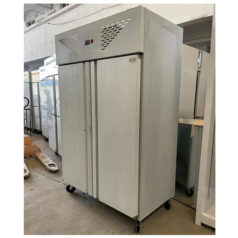 201/304 restaurant kitchen stainless steel fridge 2 doors upright commercial deep freezer refrigerator