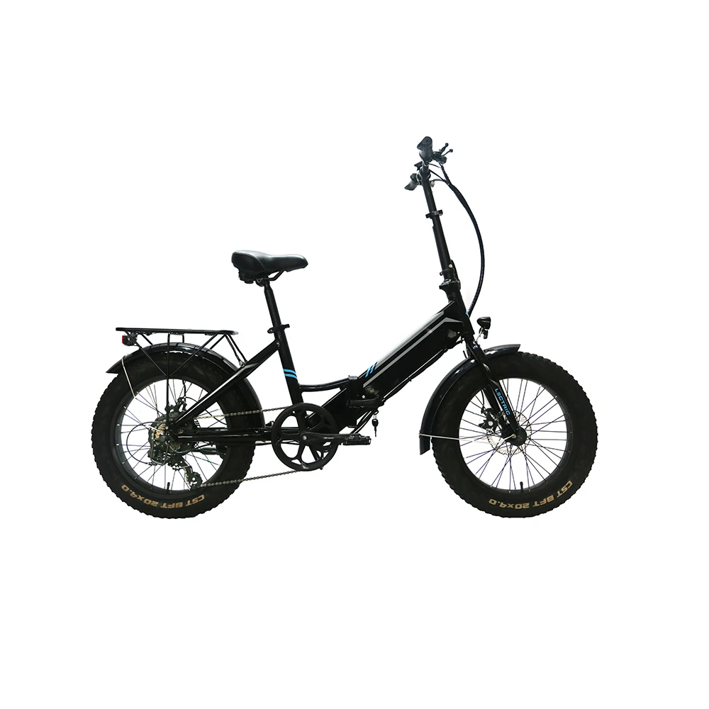 New Arrival Electric Bicycle Mini Folding E Bike Snow Bike Fat Tire 350W Brushless Motor