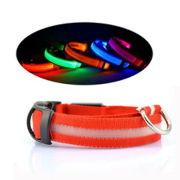 wholesale custom Chiens glow private label designer dog collars buckle pet products dog led light dog collar