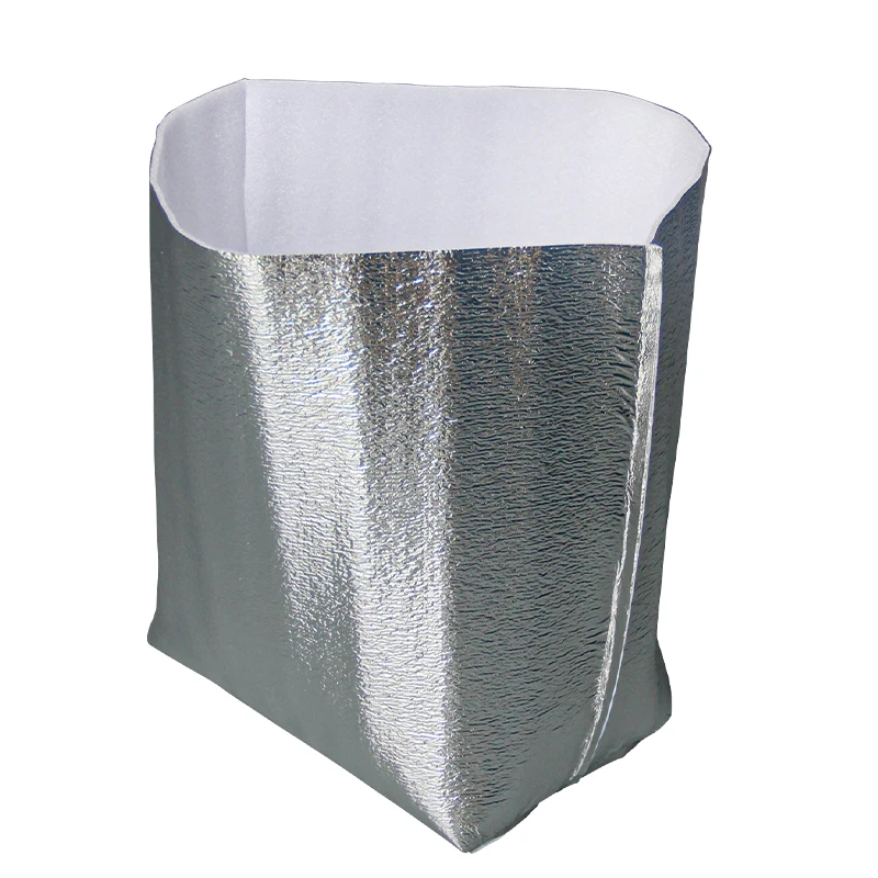 Small and Exquisite Vacuum Thermal Insulated Cold Chain Packaging/Cooler bag/Ice chest