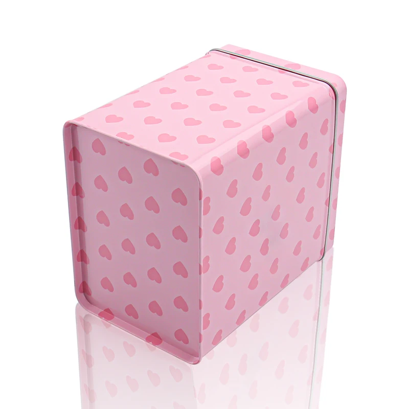 Chinese supplier new fashion rectangular cookies food tin container with lids empty cans