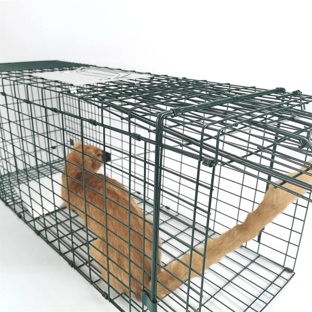 Popular Hog Pig Trap extra Large fox Trap Green Galvanizing Boar Hunting Traps