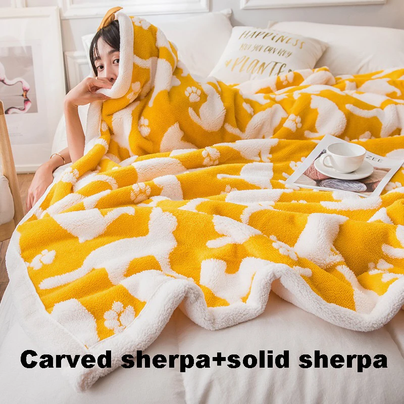 BSCI ППО толстый теплый однотонный из полиэстра и фланелей и подстежка на искусственном меху, 2 слоя по индивидуальному заказу из однотонного плюша; Сезон Зима; Двойной слой мультяшным принтом плед одеяла для зимы