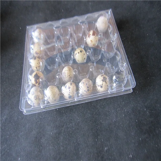 12 packs quail  egg  tray plastic PVC container for eggs