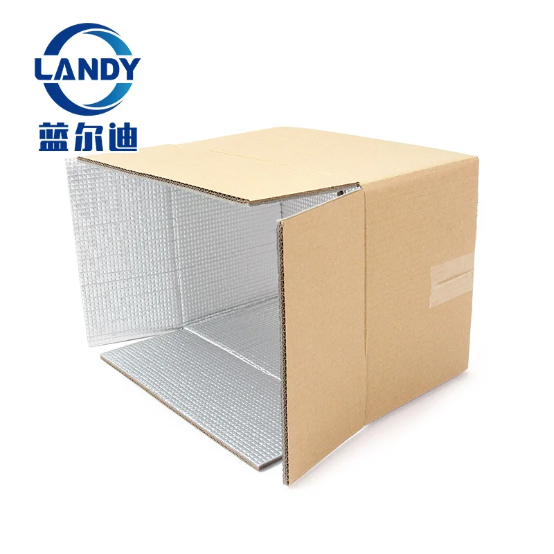 17l 19l high quality  insulated foil bubble foam cooler shipping box logo