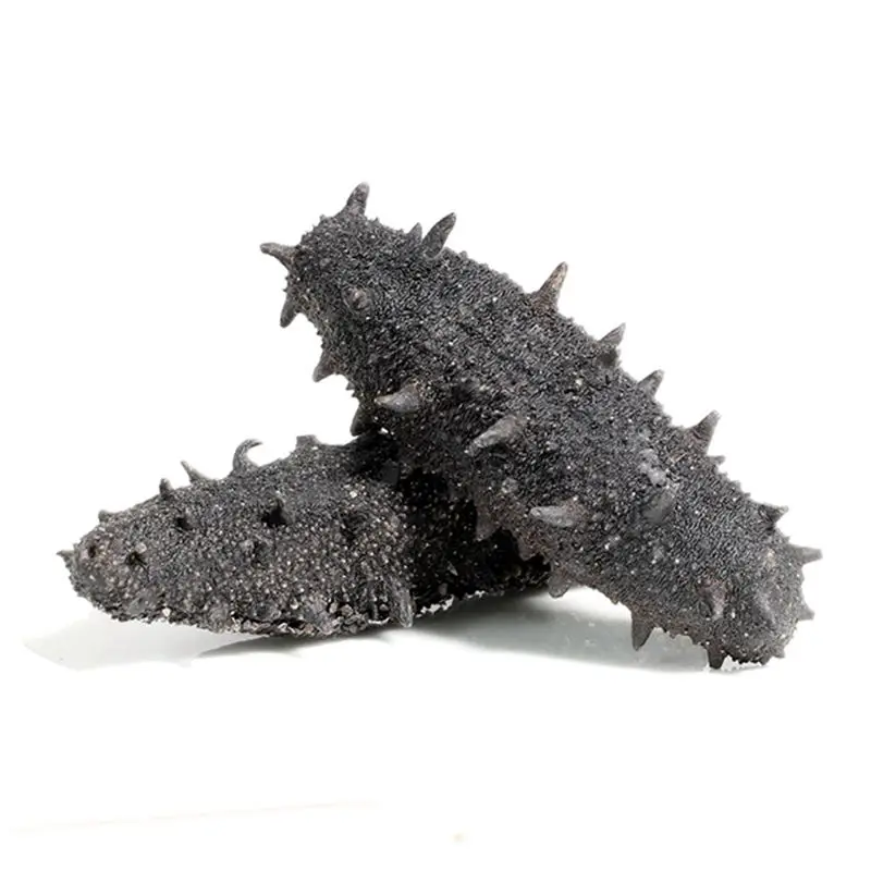 High Grade Wholesale Sea Cucumber Dried Sea Cucumber