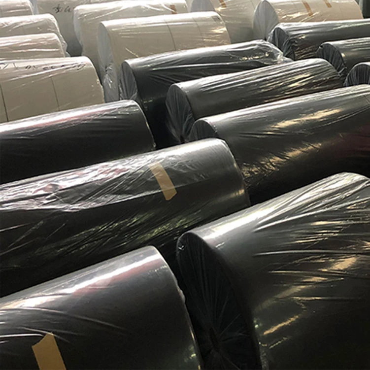 Wholesale 100%Virgin Polypropylene PP Spunbond Nonwoven Fabric Roll Agricultural Non Woven Fabric