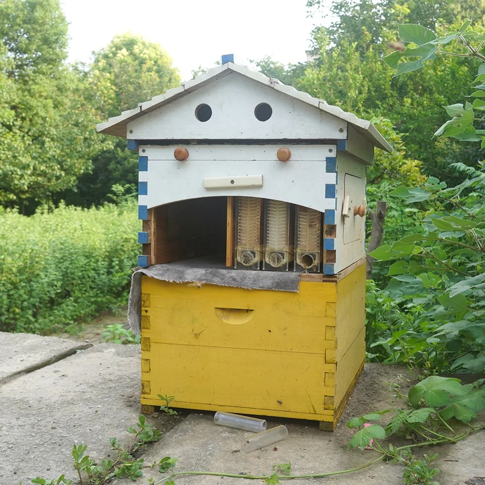 Automatic Wooden Bee Hives House Kit With 7 Pcs Upgraded Auto Frame Comb