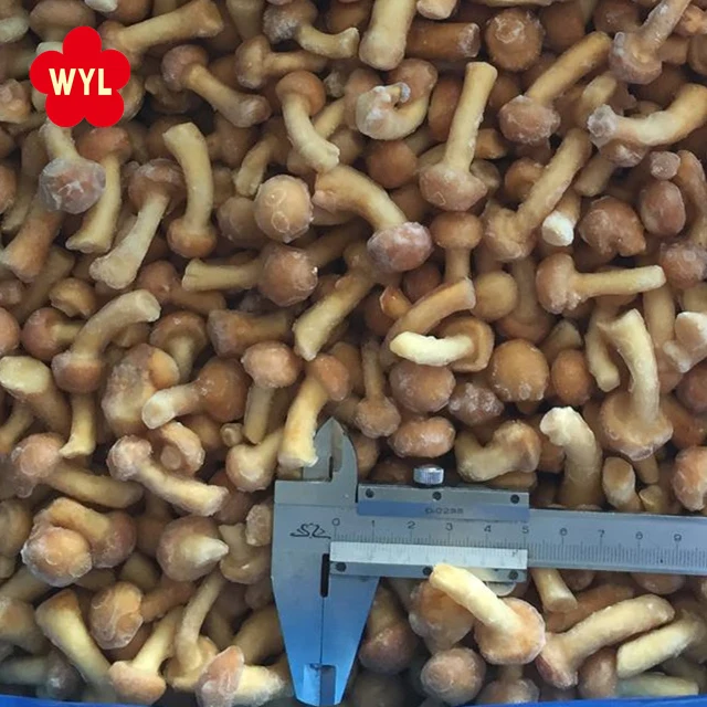 High Quality Iqf Frozen Nameko Mushroom for frozen mushroom