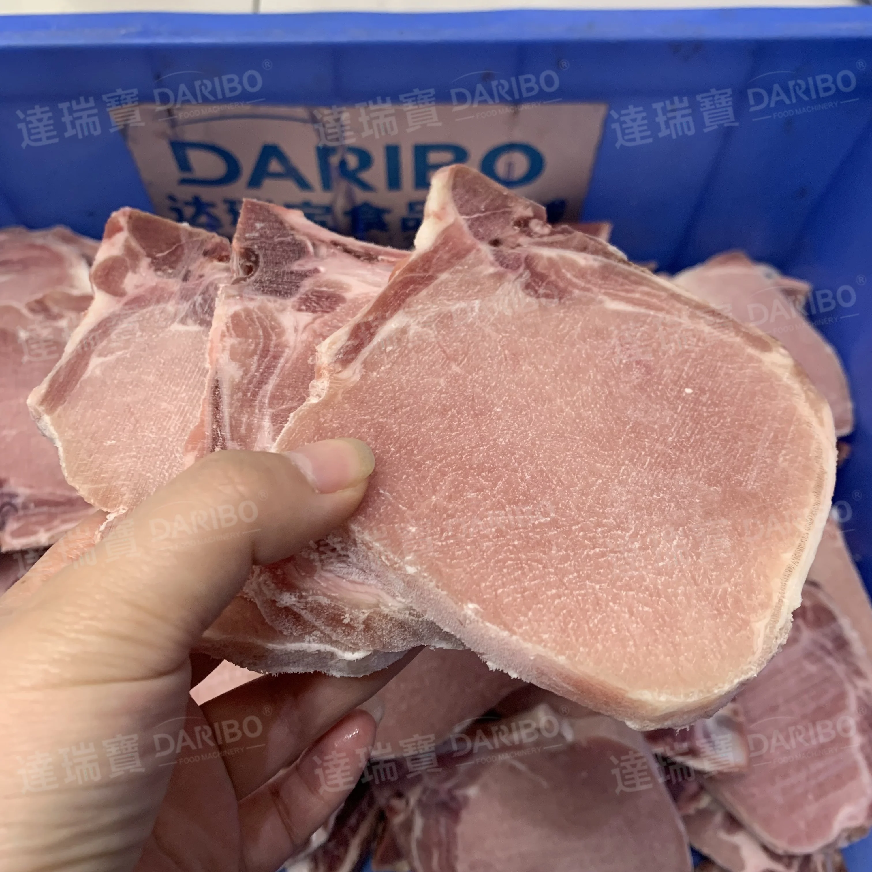 Factory Price Automatic Frozen Product Sawing Machine Sausage steak Tuna Bone Saw Equipment