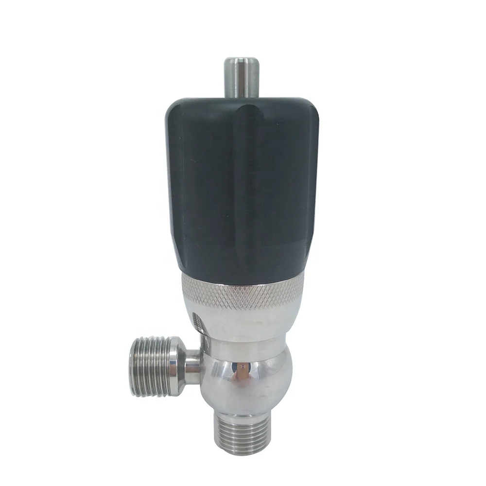 304/316L Hygienic Sanitary Stainless Steel High technology BSP Thread Mini Safety Valve
