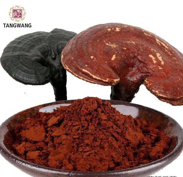 
Factory direct supply of high - quality and low - price Chinese herbal medicine natural ganoderma spore powder 