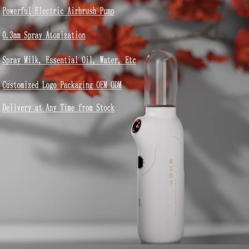 Facial Water Oxygen Spray Gun Portable Oxygen Skin Moisturizing Jet Peel Injector