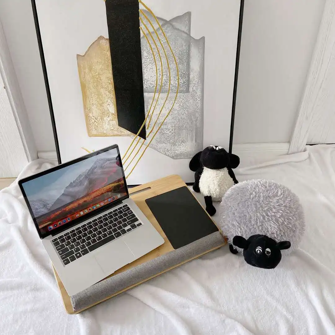 Lap Laptop Desk - Portable Lap Desk with Pillow Cushion, Fits up to 15.6 inch Laptop, with Anti-Slip Strip & Storage Function