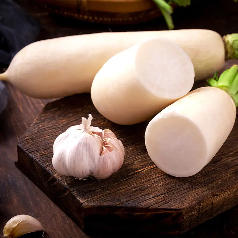 Premium quality and cheap price white radish wholesale fresh radish delicious radish