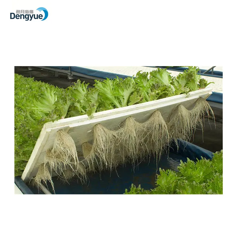 Eco-friendly 72 cell nontoxic greenhouse farm EPS manufacturer hydroponic seed tray