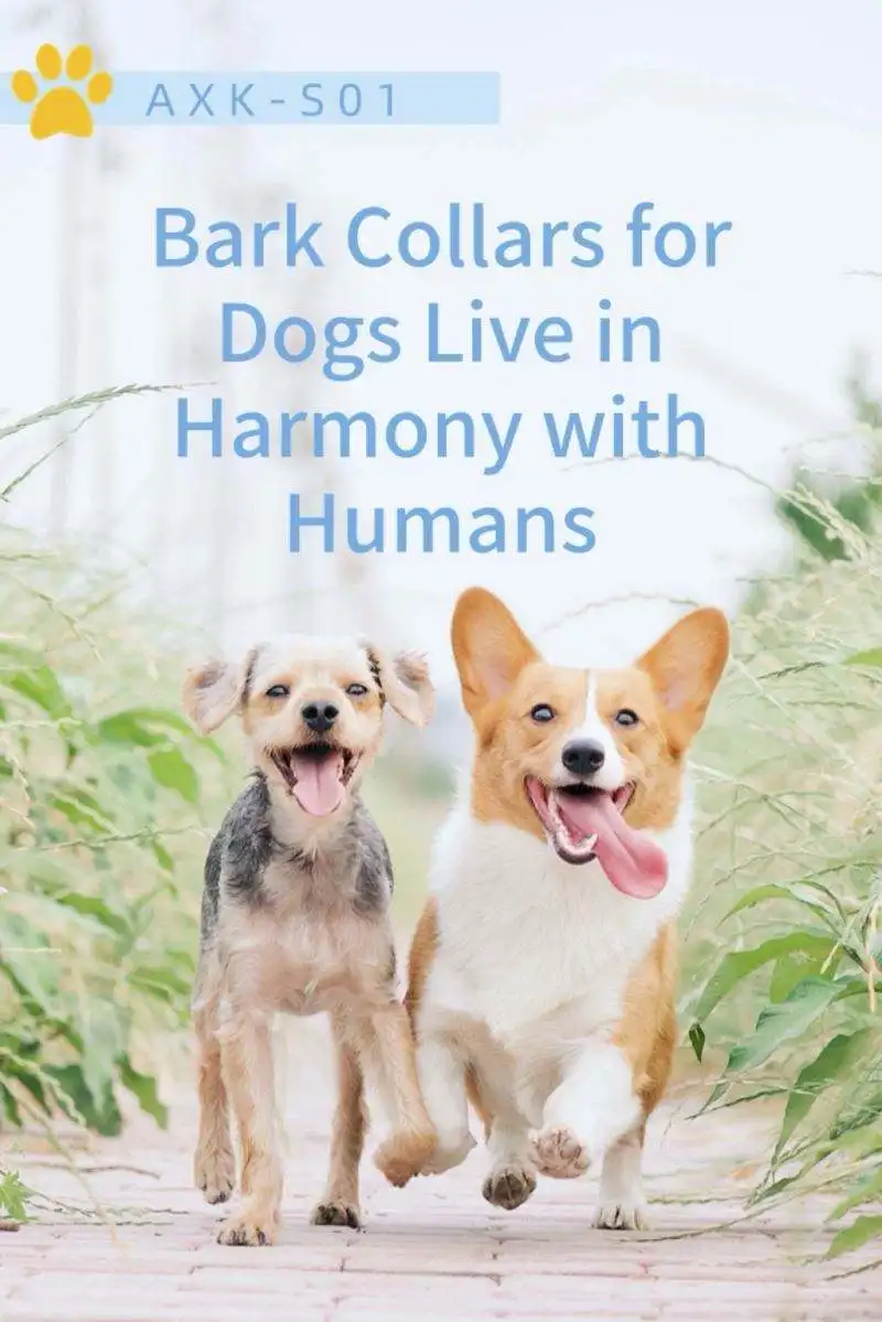 2024 hot sale stop barking dog collar no barking control collar dog training reverse barking collar