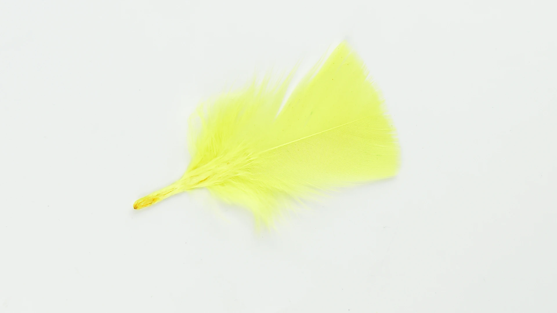 
Guaranteed Quality Proper Price Diy Colorful Feather Toys 