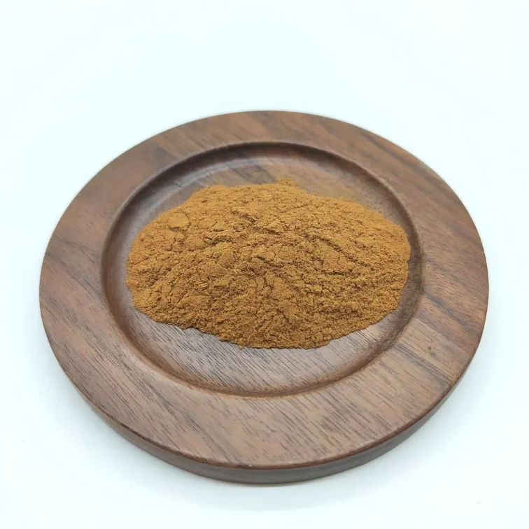Pure Herb Radix Salviae Miltiorrhizae extract Dan-Shen Root extract powder