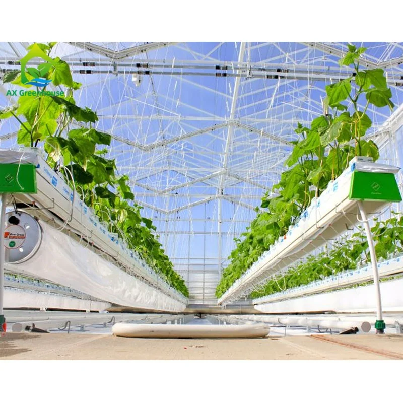 Agricultural farming machines growing machines used for vegetables