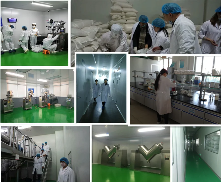 High quality cheap price bulk wholesale peptone powder price