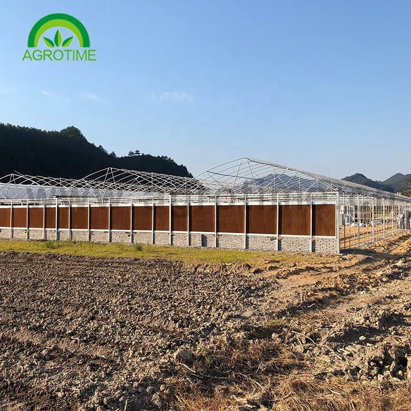  Chinese project hot sale commercial agriculture multi span hydroponic greenhouse glass green house for