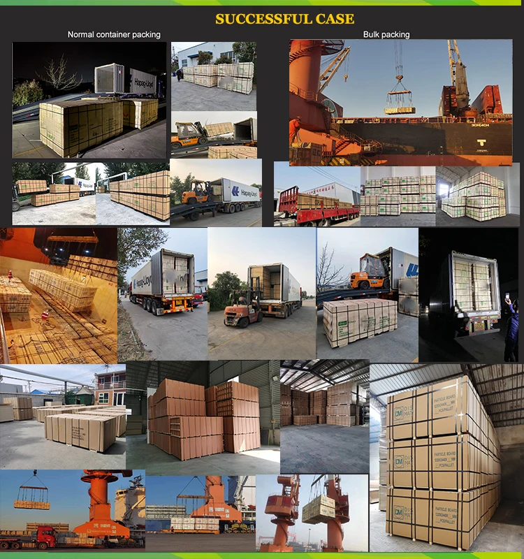 DISEN GROUP PLYWOOD (10).jpg