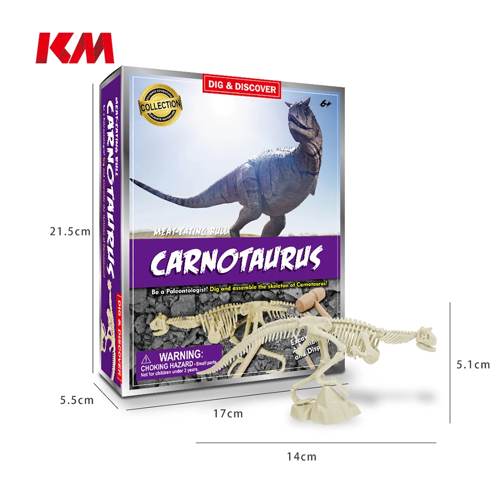 Hot sell Diy  Pterosaur Skeleton Dig Kits  Archaeology  Dinosaur Fossil Educational Toys Excavation Dig  Kit