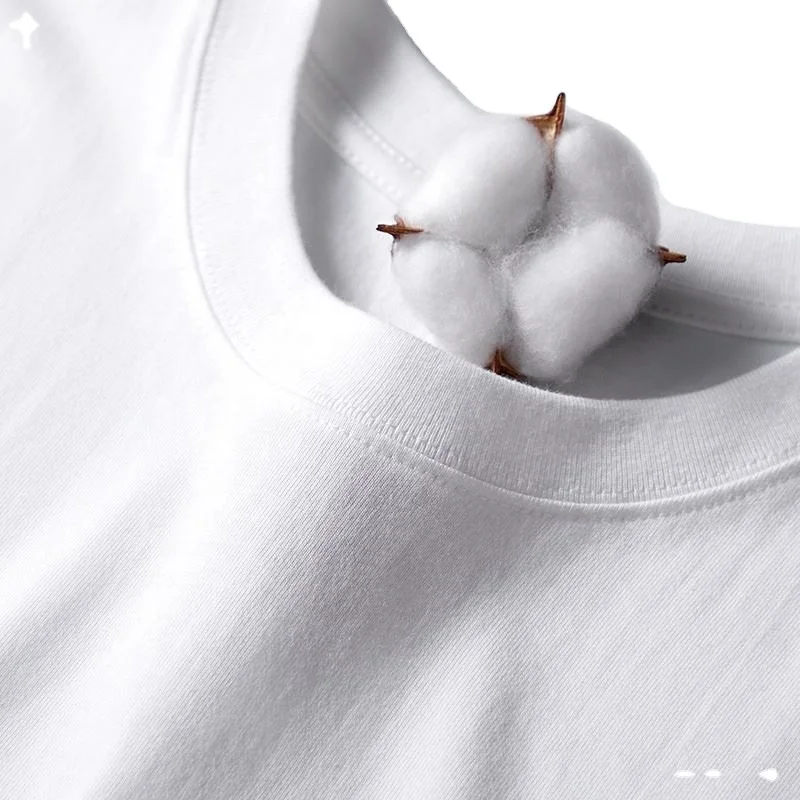 Premium Organic Cotton Tshirt Plain White T Shirt For Men Wholesale Bulk Plain White Heavy Cotton T shirt