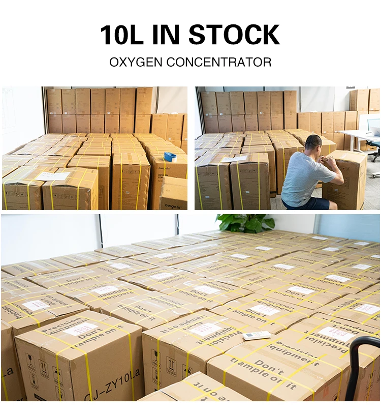 O wgels In stock oxygen-concentrator 10l dual flow portable mini medical home oxygen-concentrator Usa Algeria France