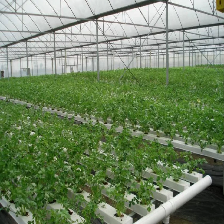 New agricultural greenhouse  Hydroponic Planting system for Growing Vegetables