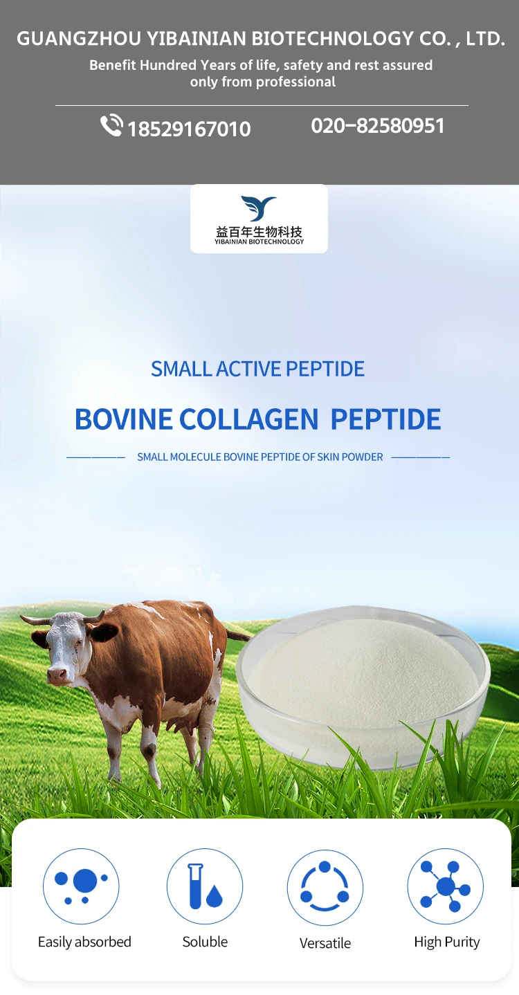 bovine collagen protein