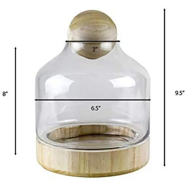 Garden wholesale vase clear glass terrarium plants with wooden base and wooden ball top