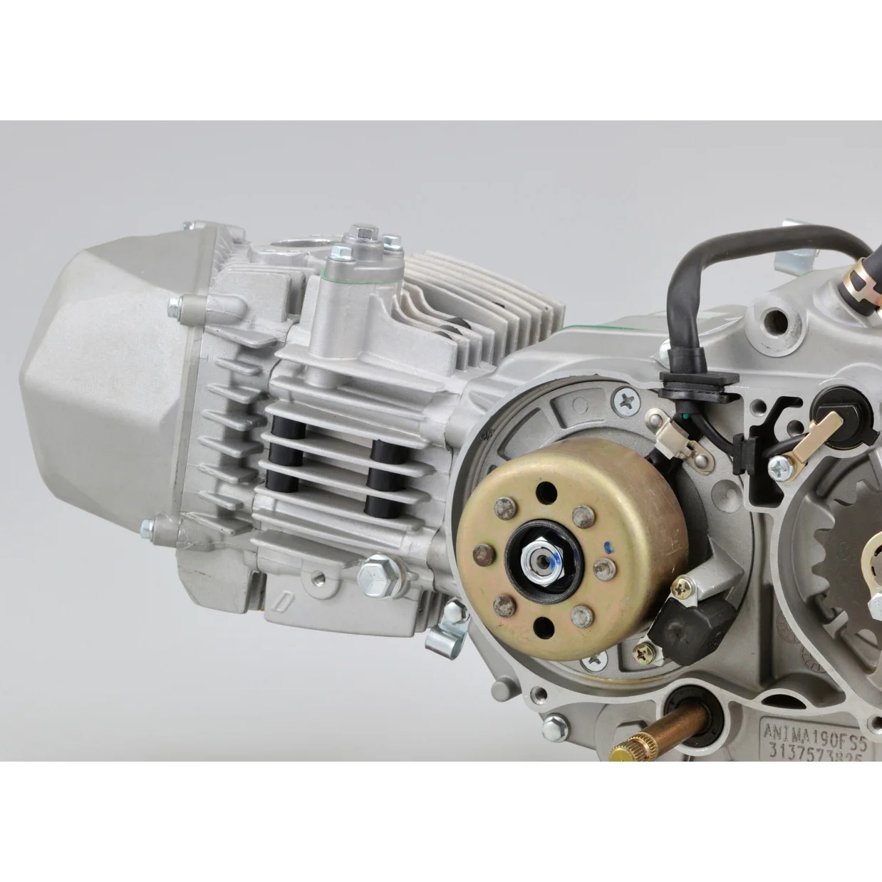 Daytona 190cc 4 Valve Engine Pocket Bike daytona 190