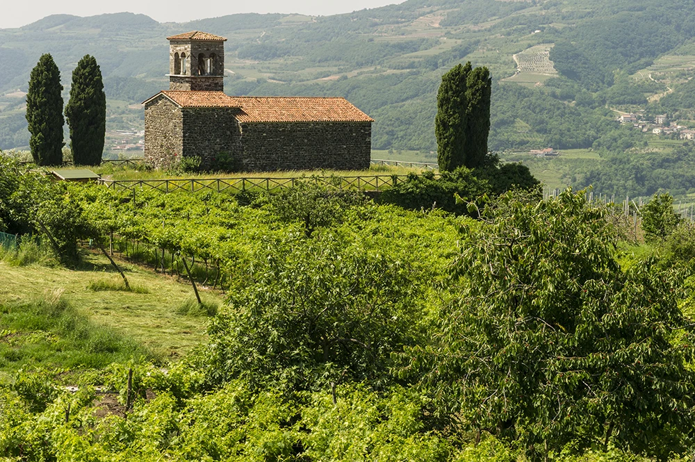 High Quality Valpolicella Doc Grade Ruby Red Wine Alcohol Content 11.5% Italian Classic Table Wine