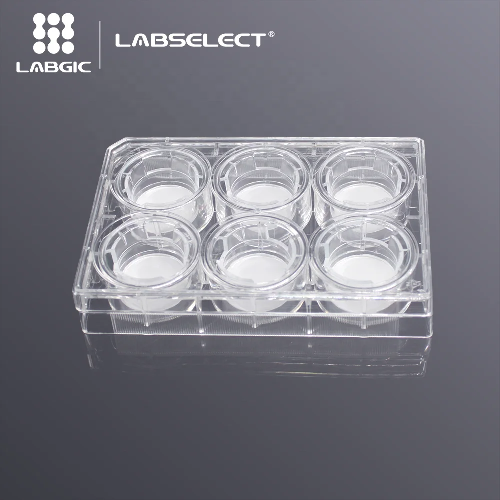 Labgic cell culture Inserts in 6-well  6.6mm PC transwell polycarbonate membrane insert for cell culture low moq